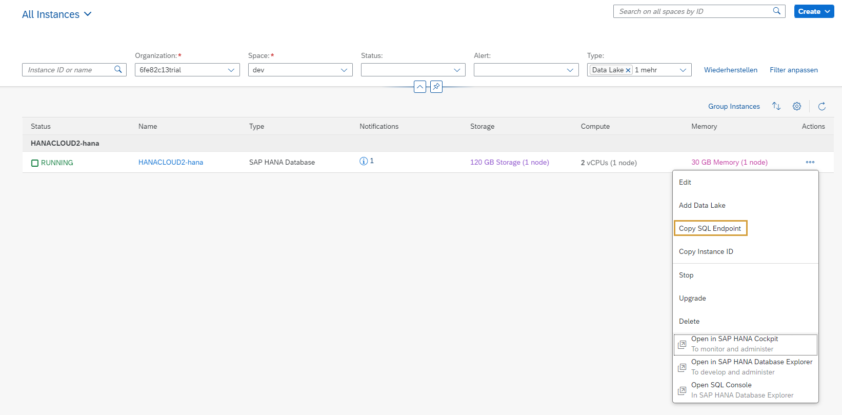 Copy SQL Endpoint in the BTP