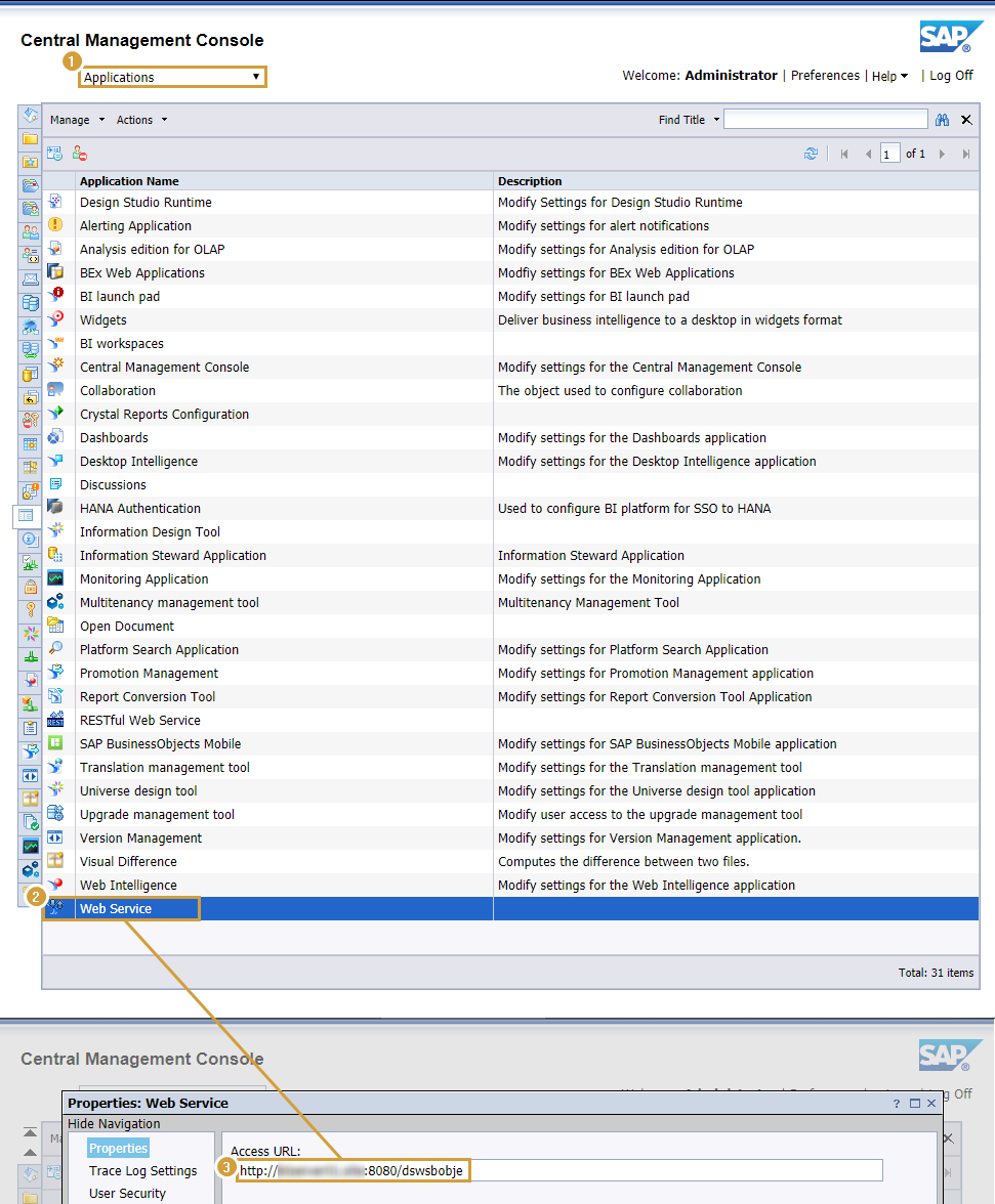 WebService URL in manage Applications of the SAP Central Management Console