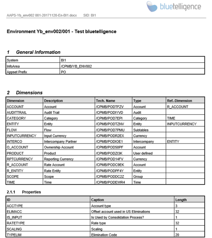 Word Documentation of a BPC Environment