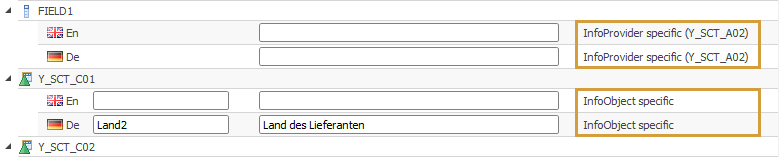 InfoProvider- and InfoObject-specific descriptions