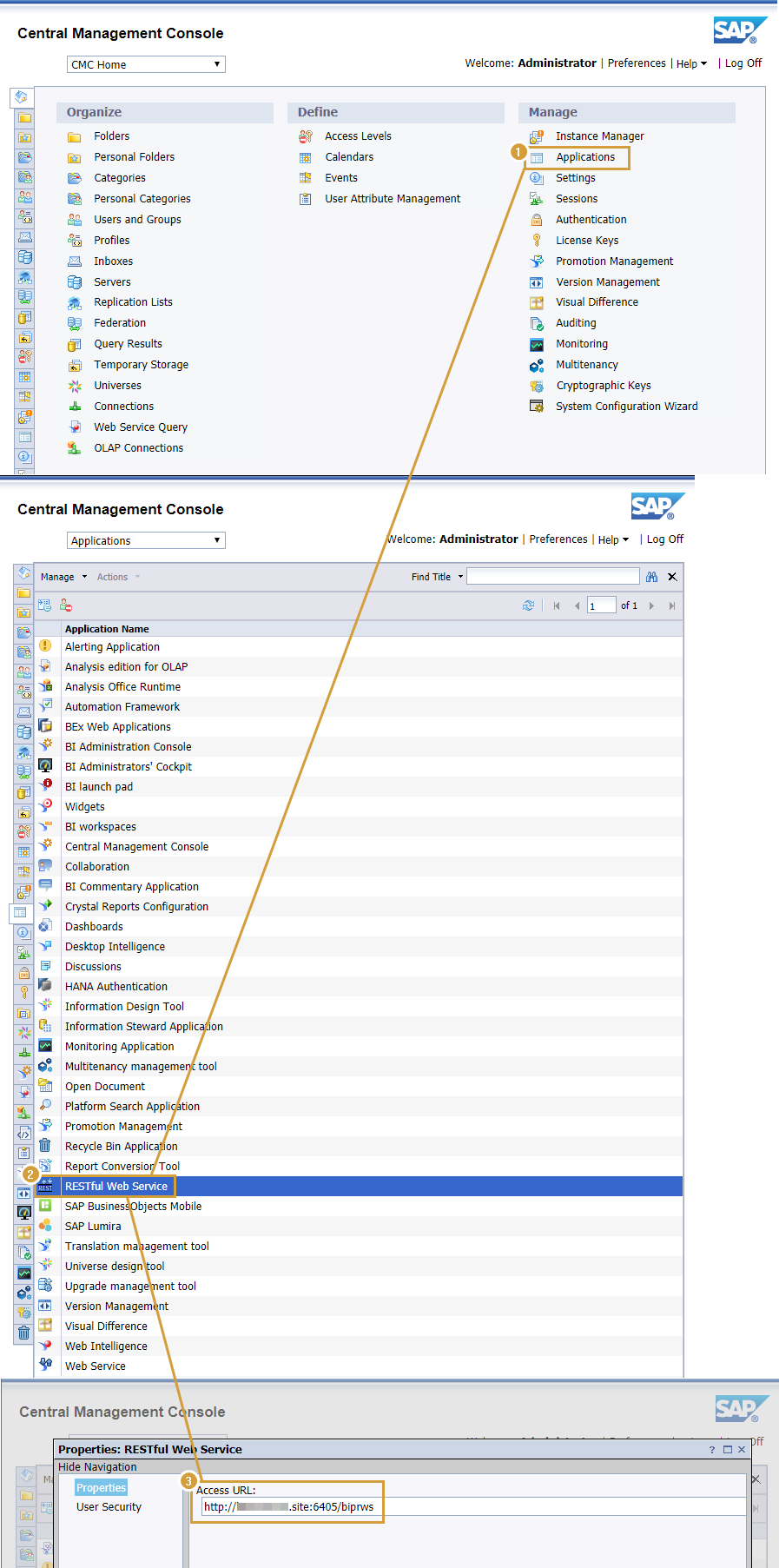 RESTful URL in manage Applications of the SAP Central Management Console