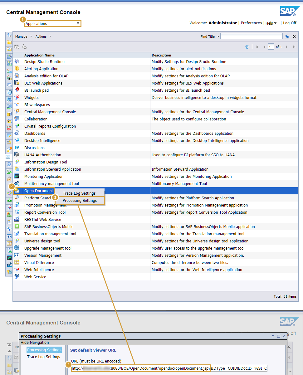 OpenDocument URL in manage Applications of the SAP Central Management Console