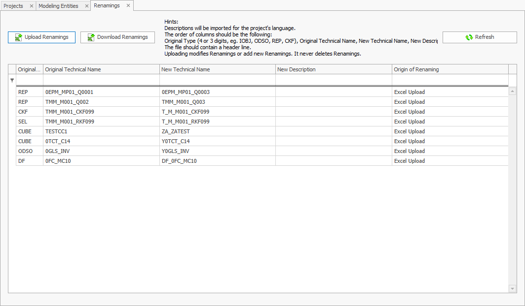 Renamings section with entries maintained via Excel Upload